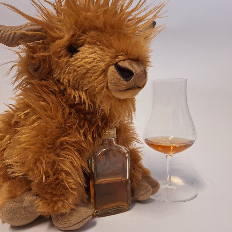 Singlemalt Adventskalender – Türchen 12